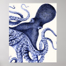 Search for fab posters Octopus