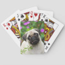 Search for pug playing cards Cute