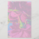Search for fuchsia rose Hot pink roses