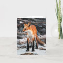 Search for save our planet cards Nature