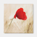 Search for single magnets Poppy