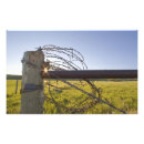 Search for ranching posters Chuck haney