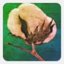 Search for cotton boll Southern