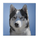 Search for eyes tiles Pets
