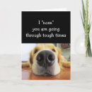 Search for time pet supplies Sympathy