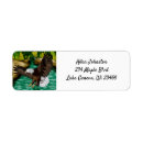 Search for eagle return address labels Nature