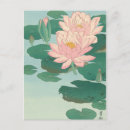 Search for day lily postcards Elegant