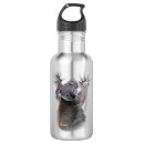 Search for koala water bottles Grey