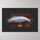 Search for coho Fish