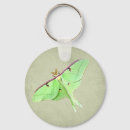 Search for entomology key rings Moth
