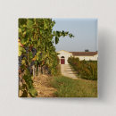 Search for vineyards badges Europe