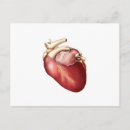 Search for circulatory system postcards Blood vessels