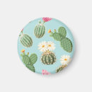 Search for decorative magnets Tropical