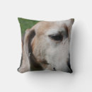 Search for beagle cushions Dogs