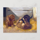 Search for playing postcards Puppies