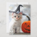 Search for kitten halloween cards Jack o lantern