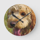 Search for goldendoodle art Poodle