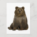 Search for on a tree postcards Bear