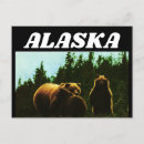 Search for vintage alaska postcards Bear