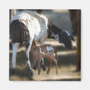 Search for papa noel magnets Cute