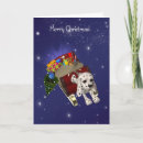 Search for dalmatian christmas cards Sleigh
