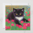Search for tuxedo cat invitations Black and white cat