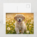 Search for symbolic postcards Flowers
