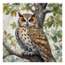 Search for brown owl posters Wildlife