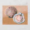 Search for scallops postcards Food