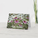 Search for happy daisy cards Pink