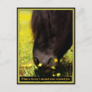 Search for created postcards Animals