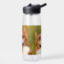 Search for dog water bottles Pet