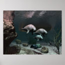 Search for manatee posters Wildlife