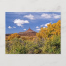 Search for 4x5 postcards Yellow