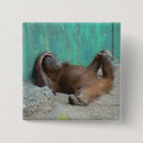 Search for fur babies badges Funny