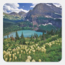 Search for many stickers Glacier national park
