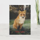 Search for foxy lady Birthday