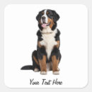 Search for bernese mountain dog lovers stickers Puppy