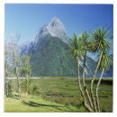 Search for new zealand tiles Mountain