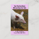 Search for pig business cards Pork