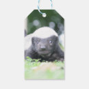 Search for badger gift wrap Cute