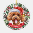 Search for poodle christmas tree decorations Watercolor