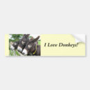 Search for donkeys bumper stickers Mule