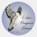 Search for falconer stickers Peregrine