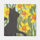 Search for spring daffodils magnets Colourful