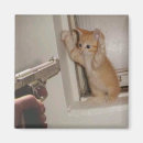 Search for held Kitten