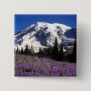 Search for summit badges Landscape
