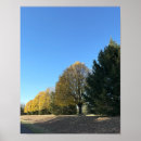 Search for rows posters Outdoors