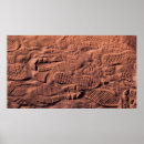 Search for animal tracks posters Footprints