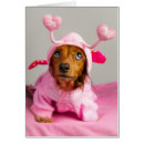 Search for daschund puppy postcards Animals